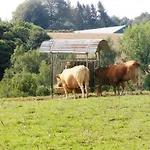 House Rumpen