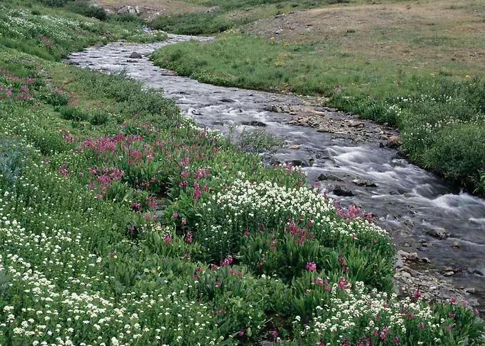 House Rumpen Дом отдыха *