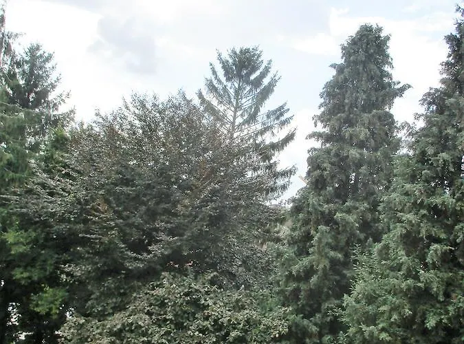 Дом отдыха House Rumpen